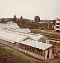Vuonna 1946 perustettu yritys siirtyi 1950-luvulle tultaessa nopeasti kasvattamaan kukkia. Taustalla Alankotie.